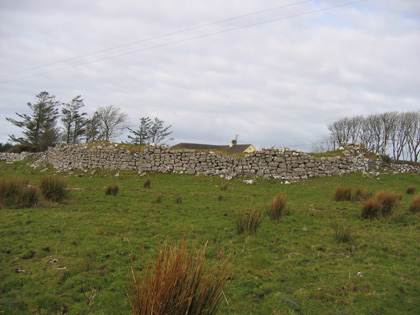 The Caher wall