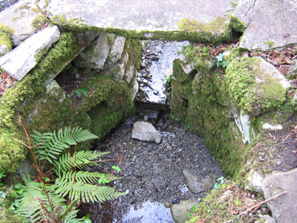 Holy Well (2)