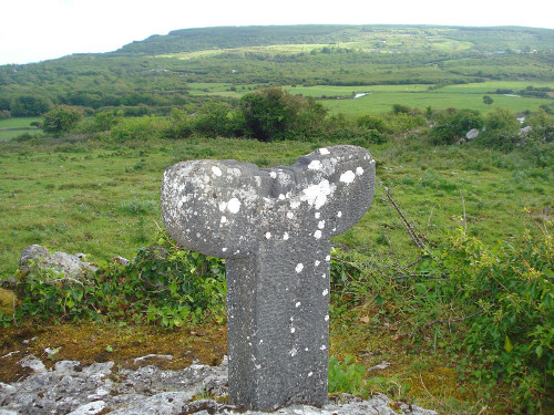 Tau Cross in situ Roughan Hill
