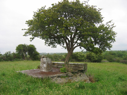 Holy Well & Tree