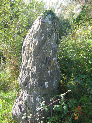 Boundary Stone (1)