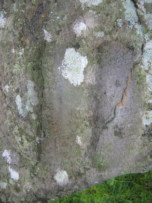 St Olan's footprints close-up