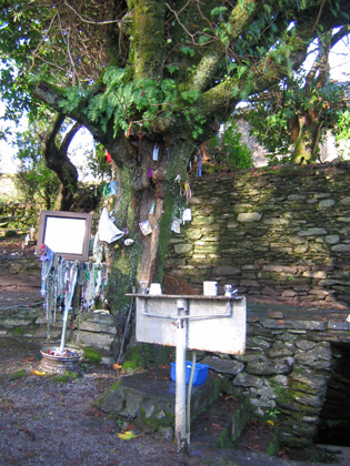 St Abban's Well & Holy tree (2)