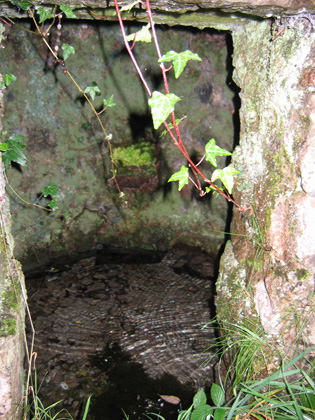 The Holy Well inside