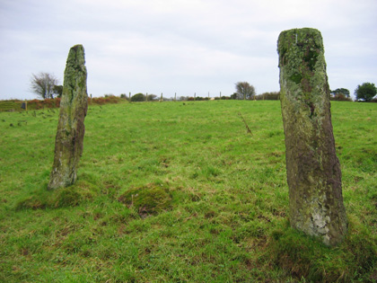 Ogham stones (1)