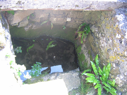 The Holy Well (3)