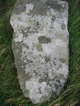 Ogham Stone 1 (2)