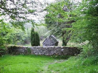 Holy Well and Holy Tree