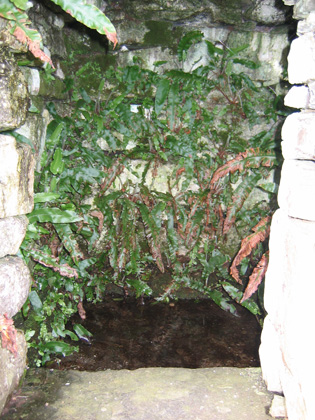 Holy Well (2)