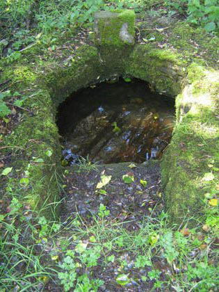 New Holy Well