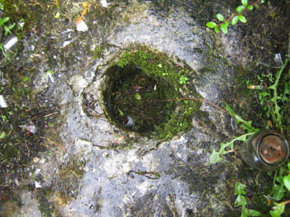 Old Holy Well (3)