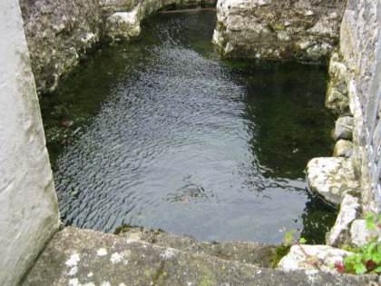 St Brigit's Well