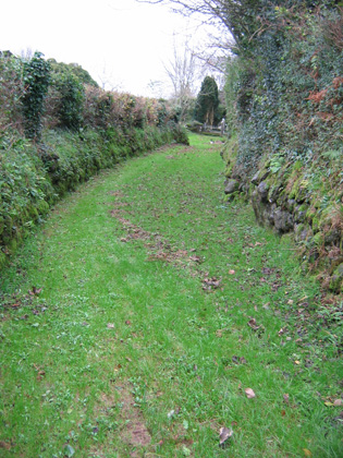 Ancient trackway