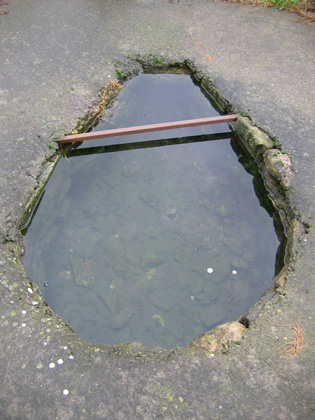 Holy Well 1