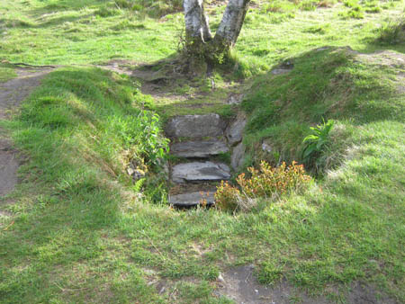 Glenadalough St Kevin's well